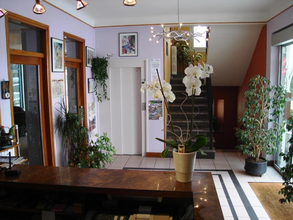 Hotel Beausejour Chaudes-Aigues Eksteriør bilde